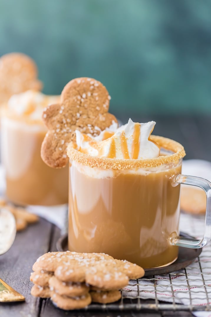 Gingerbread lattes made in a slow cooker