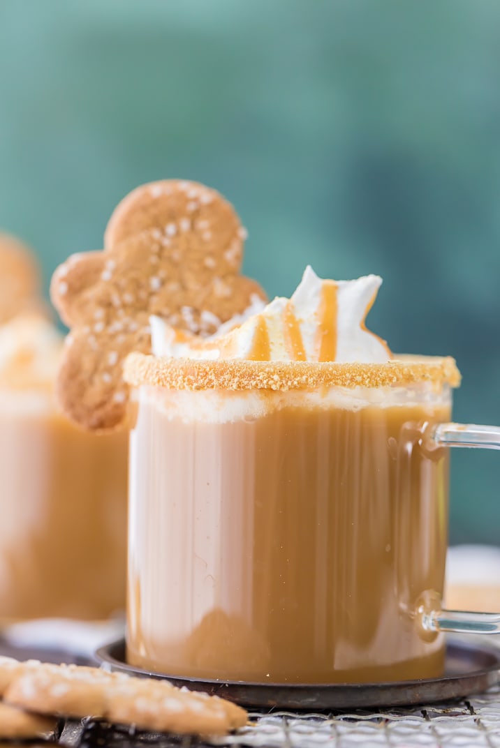 Gingerbread Latte in a clear mug, topped with whipped cream, caramel sauce, and a gingerbread cookie