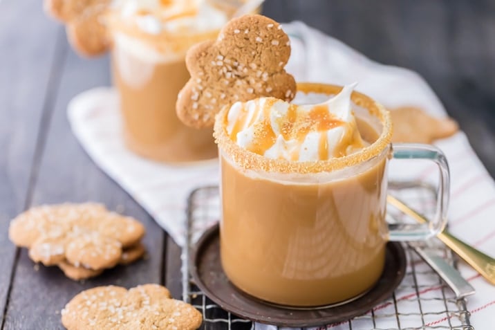 Crockpot Gingerbread Latte | Warm and Fancy Crockpot Drinks You Can Serve This Winter