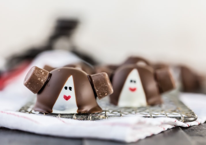 princess leia truffles with smiley faces on them