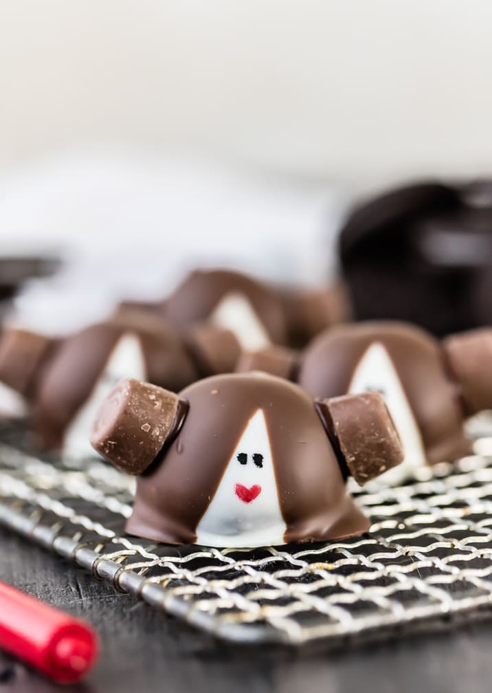 princess leia oreo truffles with rolos on a wire rack