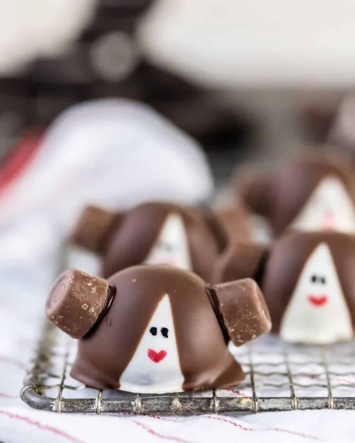 Princess Leia truffles on a wire rack.