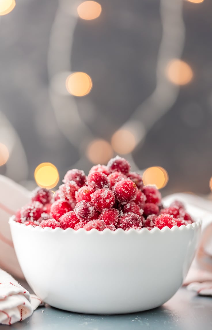 white bowl of easy sugared cranberries with white twinkle lights