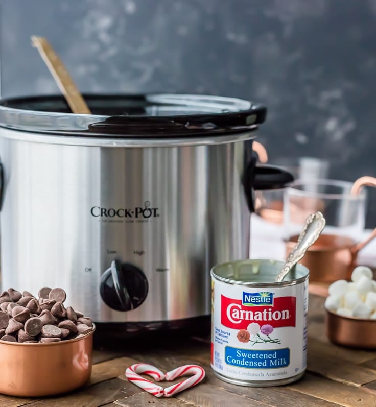 A crockpot with a cup of chocolate chips and a can of condensed milk sitting in front of it