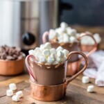 mugs of hot chocolate topped with mini marshmallows