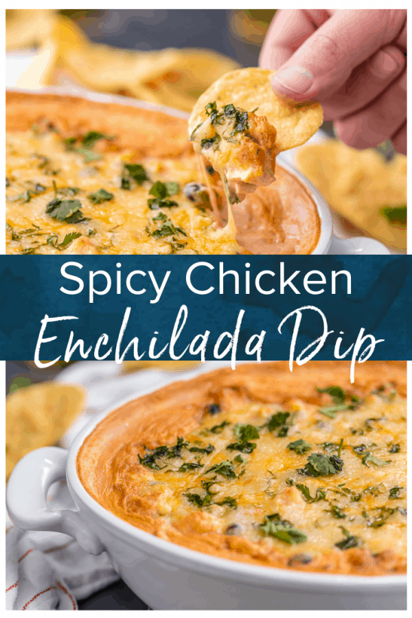 Spicy Cheesy Chicken Enchiladas Dip The Cookie Rookie®