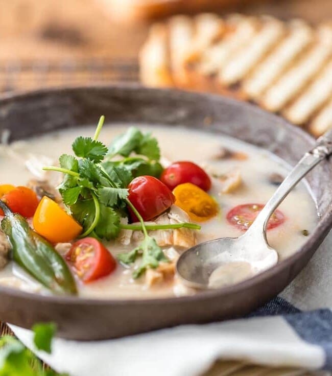 Thai Coconut Chicken Soup is healthy, EASY, and SO DELICIOUS! Loaded with cilantro, mushrooms, chicken, tomato, and chiles; so much flavor in such an easy Thai recipe! Perfect soup recipe!
