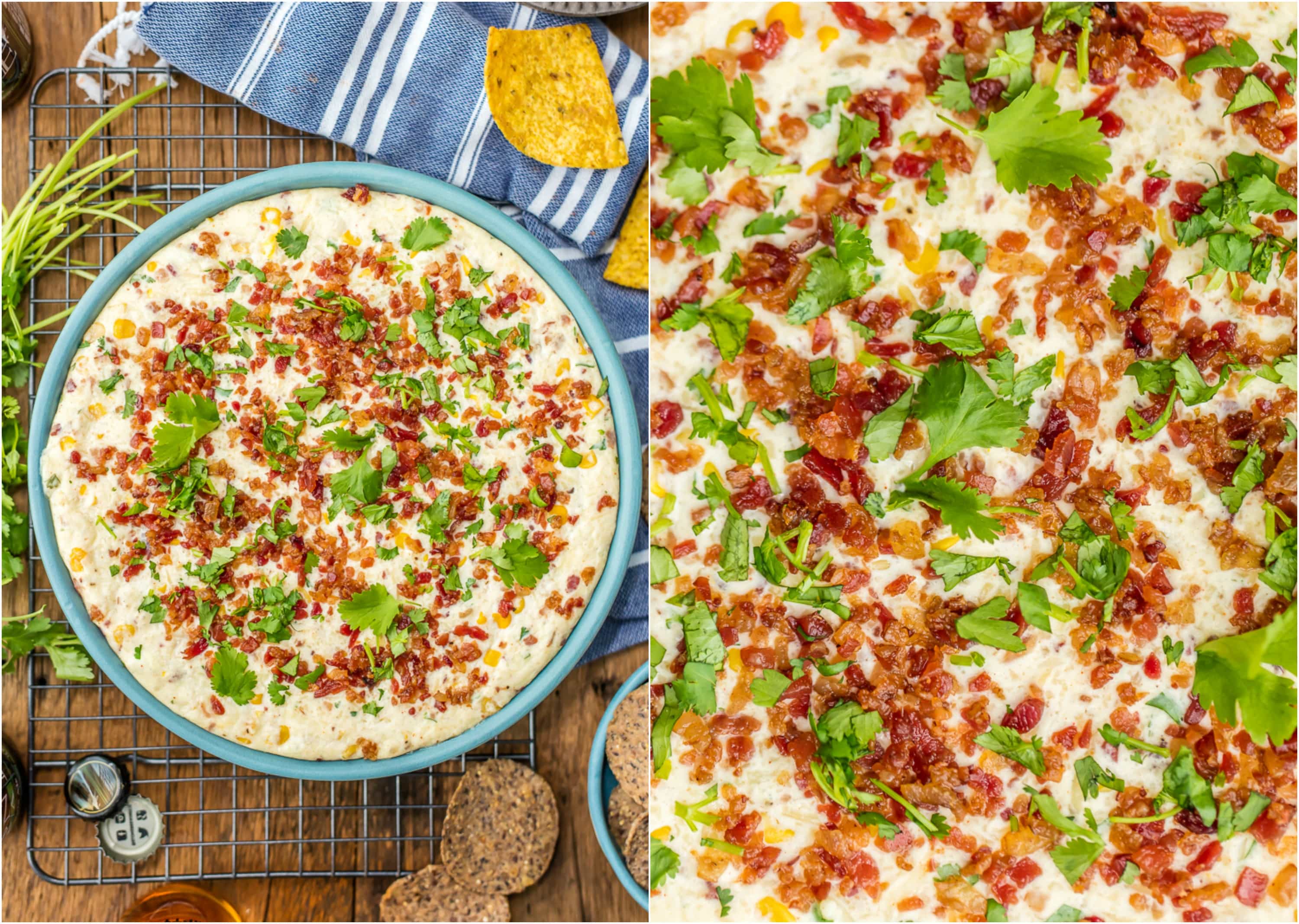 close up of toppings on dip with cilantro and bacon bits