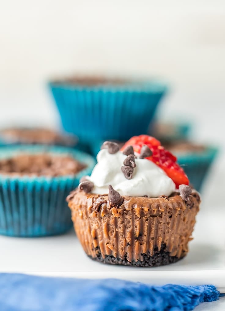 Mini Nutella Cheesecakes {The Cookie Rookie}