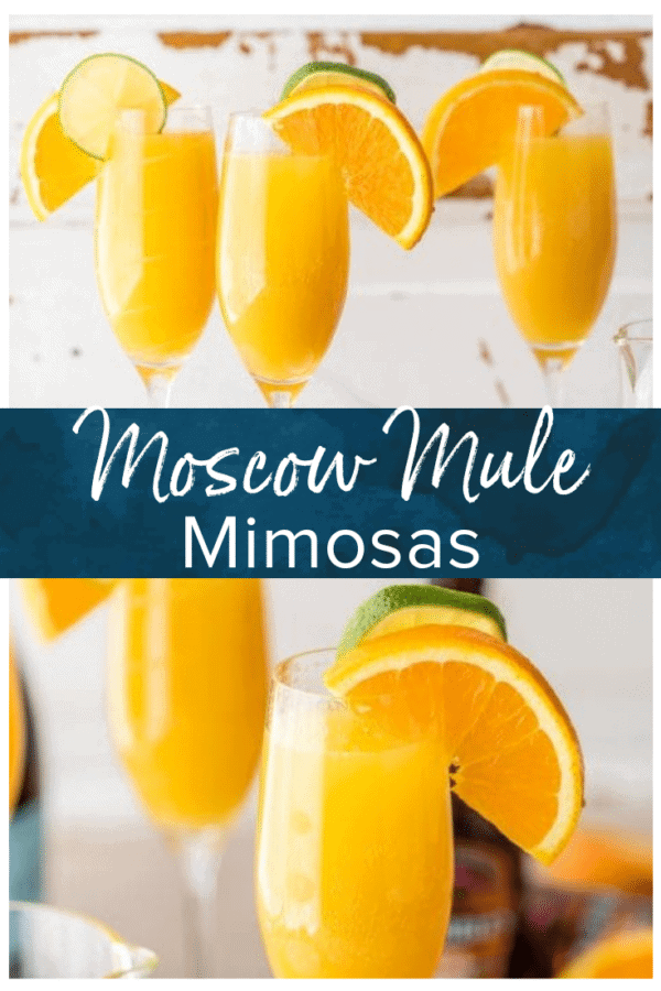 moscow mule mimosa pinterest photo