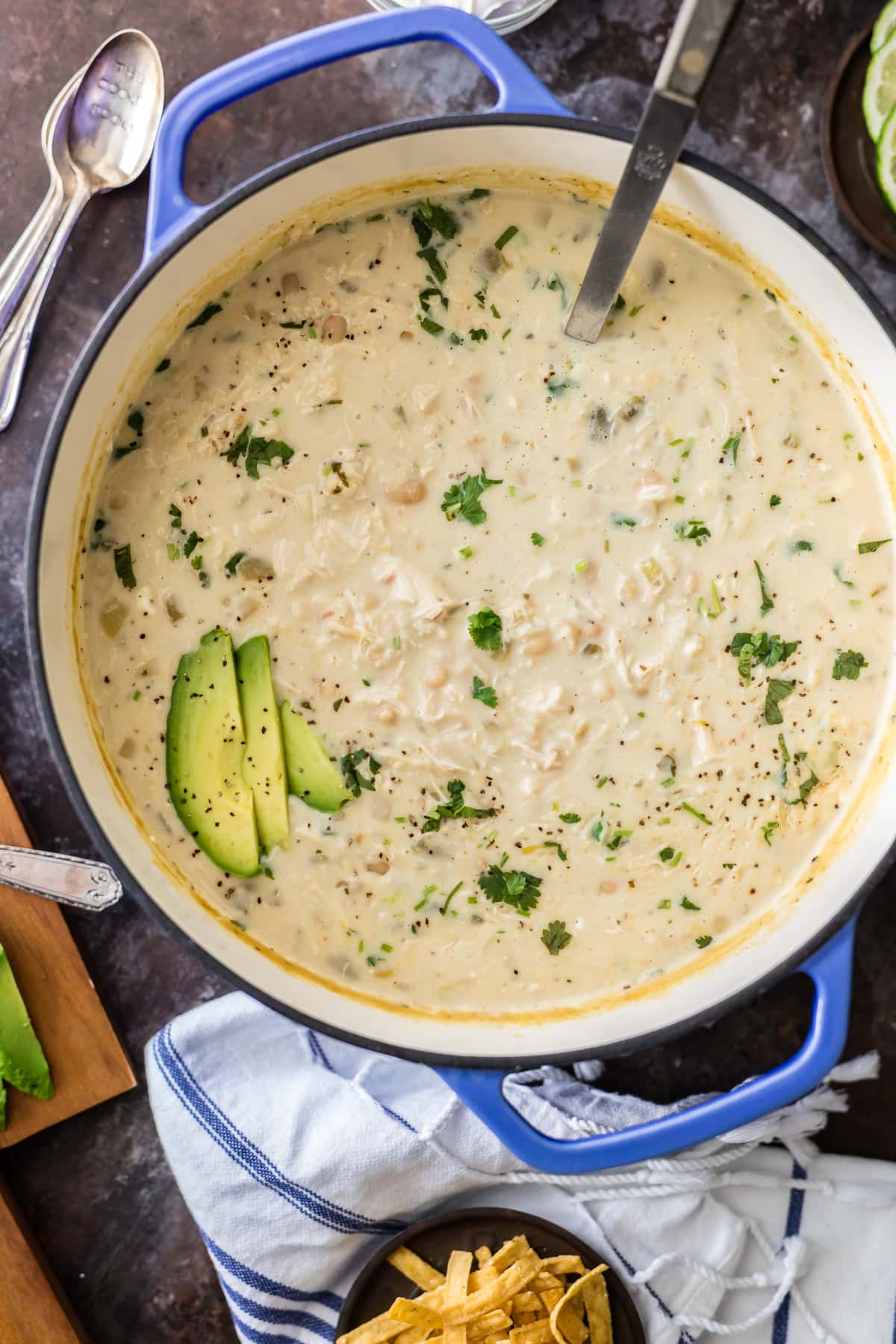 overhead view of a large pot of creamy white bean chili