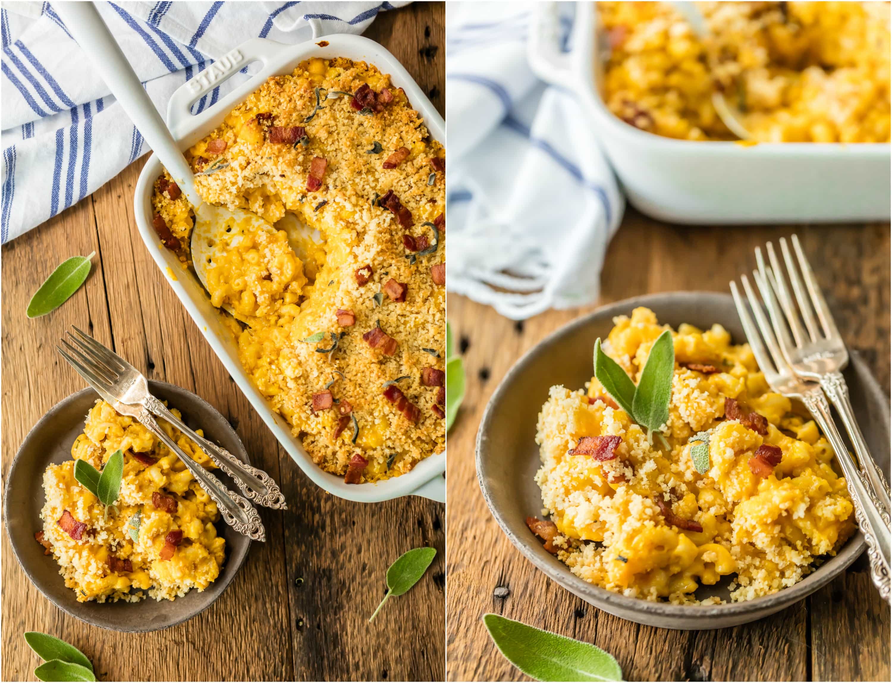 Baked Pumpkin Bacon Mac and Cheese is the ULTIMATE comfort food for Fall! Autumn in a casserole dish! Loaded with cheese, bacon, pumpkin, sage, and more cheese. BEST MACARONI AND CHEESE EVER!