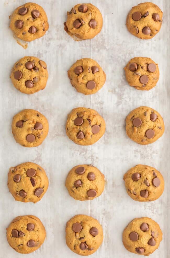 Applesauce Chocolate Chip Cookies Recipe