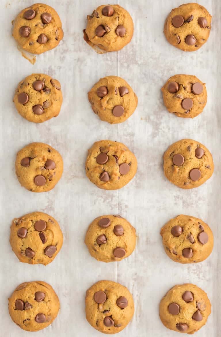 Applesauce Chocolate Chip Cookies Recipe