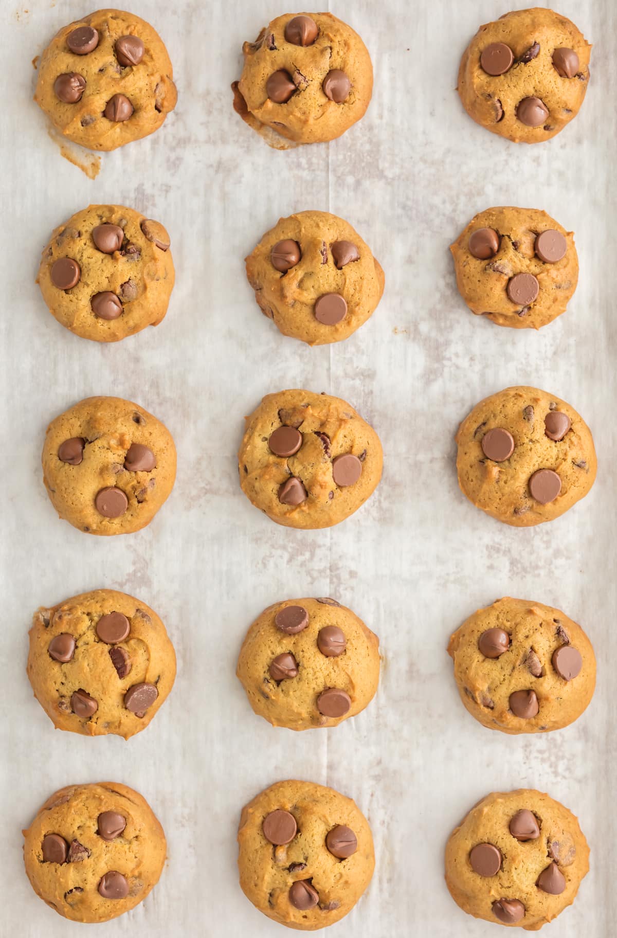 Easy chocolate chip cookies lined up on a baking sheet