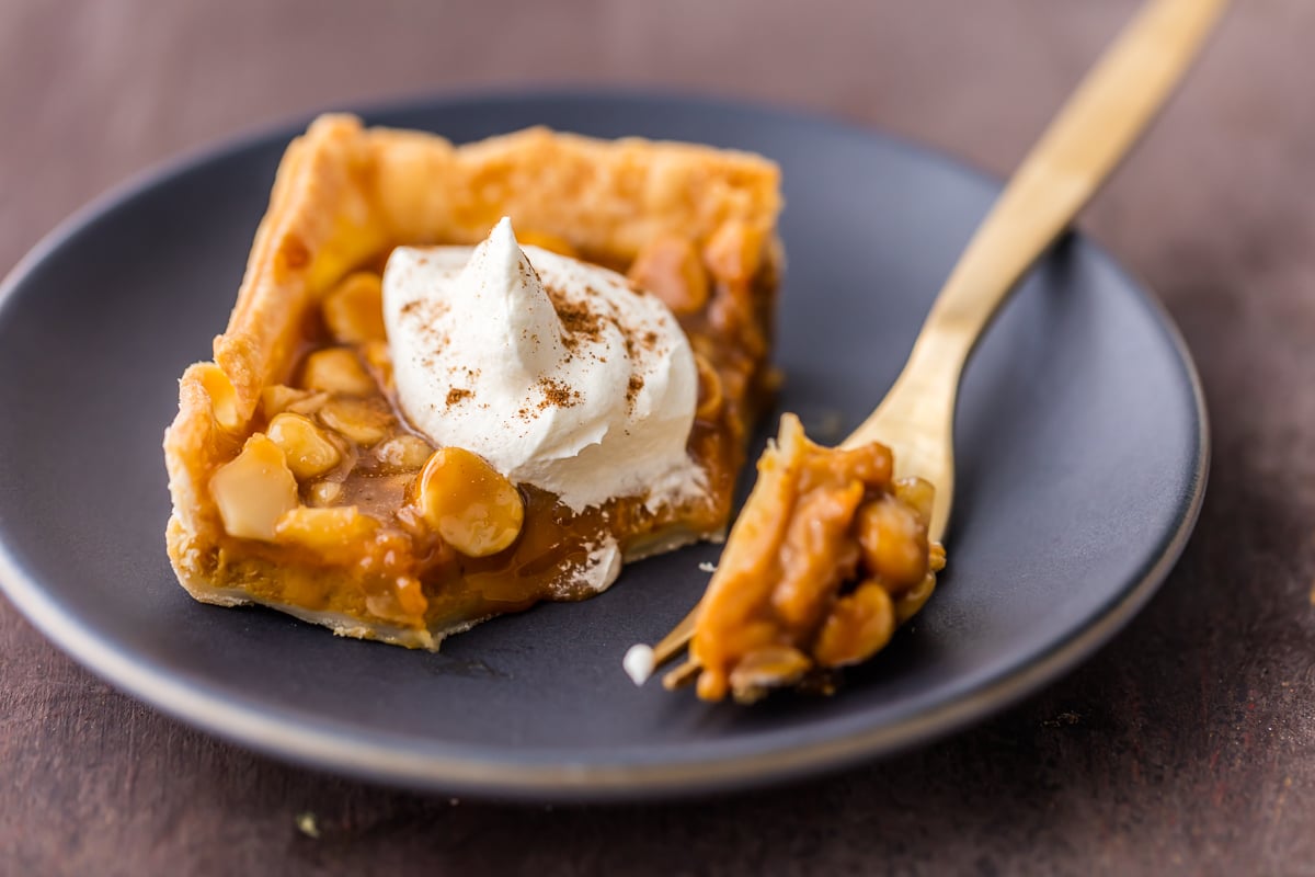 Pumpkin Pie Bars with caramel and macadamia nuts