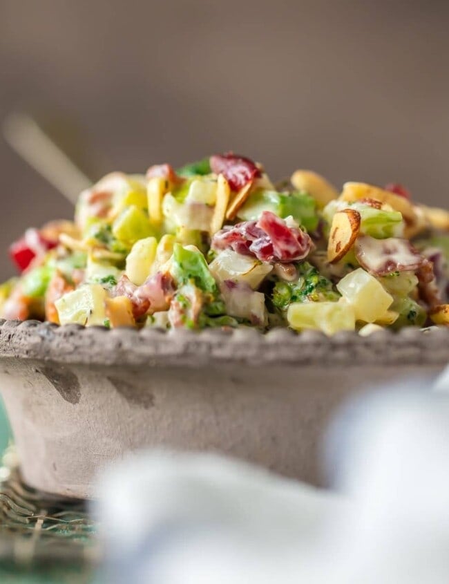 This Broccoli Salad recipe is a twist on a holiday classic! Almond Broccoli Cranberry Salad has so much flavor because it's filled with best ingredients. This delicious charred broccoli salad with bacon is sure to be your favorite Thanksgiving or Christmas side dish!