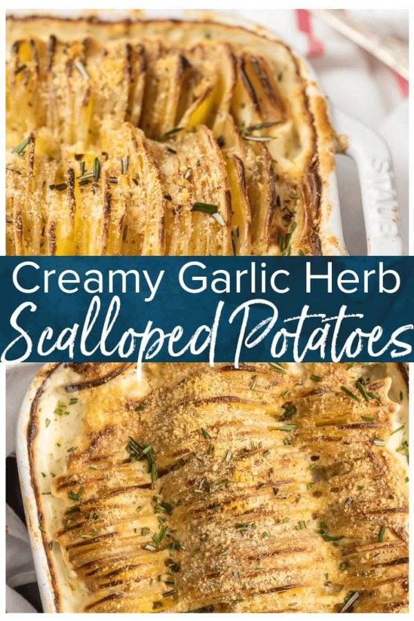 This CREAMY SCALLOPED POTATOES recipe is one of our favorite holiday side dishes! These cheese garlic herb potatoes are made creamy with a secret ingredient that you'll never skip again. This is the BEST scalloped potatoes recipe I've ever had, perfect for Thanksgiving!