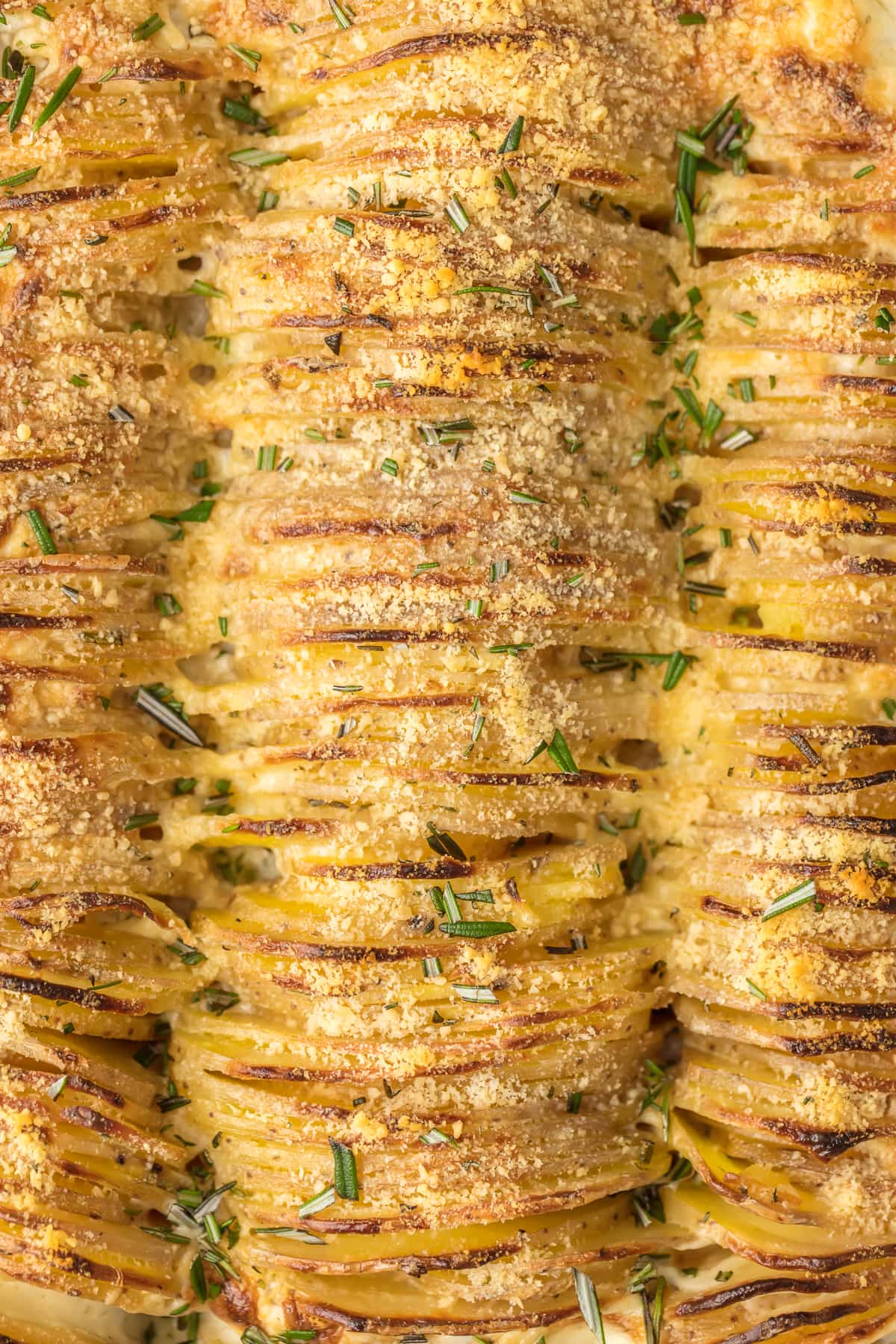 https://www.thecookierookie.com/wp-content/uploads/2016/11/garlic-herb-scalloped-potatoes-4-of-10.jpg