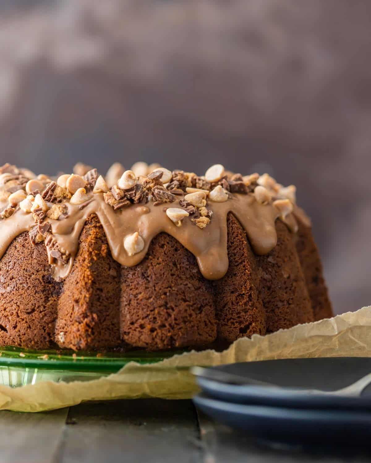 Chocolate peanut butter cake with peanut butter frosting. 