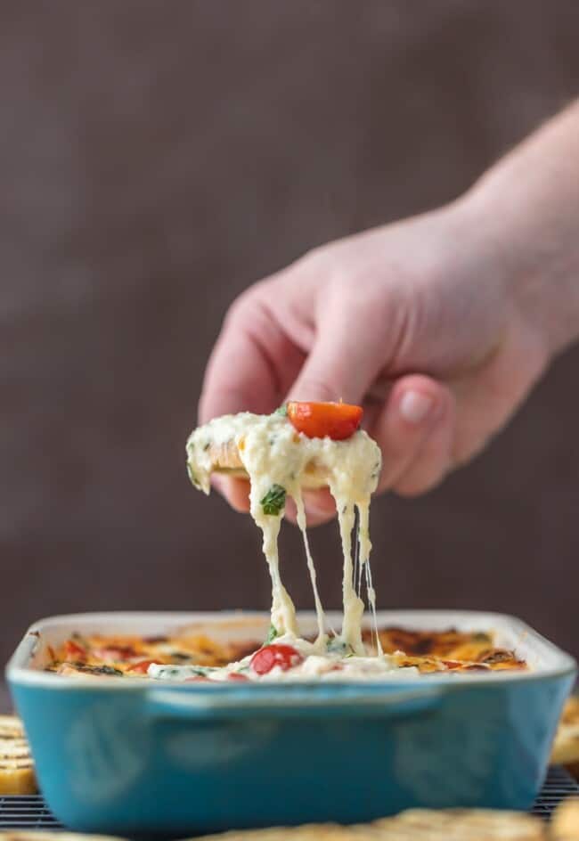 Cheesy Tomato Mozzarella Caprese Dip Recipe The Cookie Rookie®