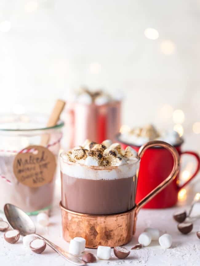 Malted Homemade Hot Chocolate Mix Recipe The Cookie Rookie®