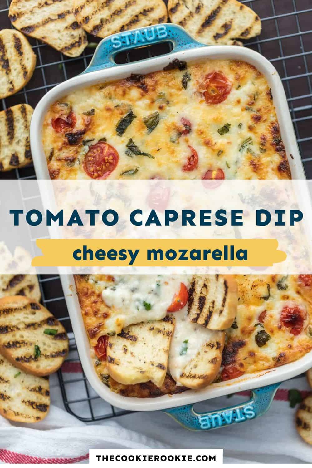 tomato caprese dip pin image - 2