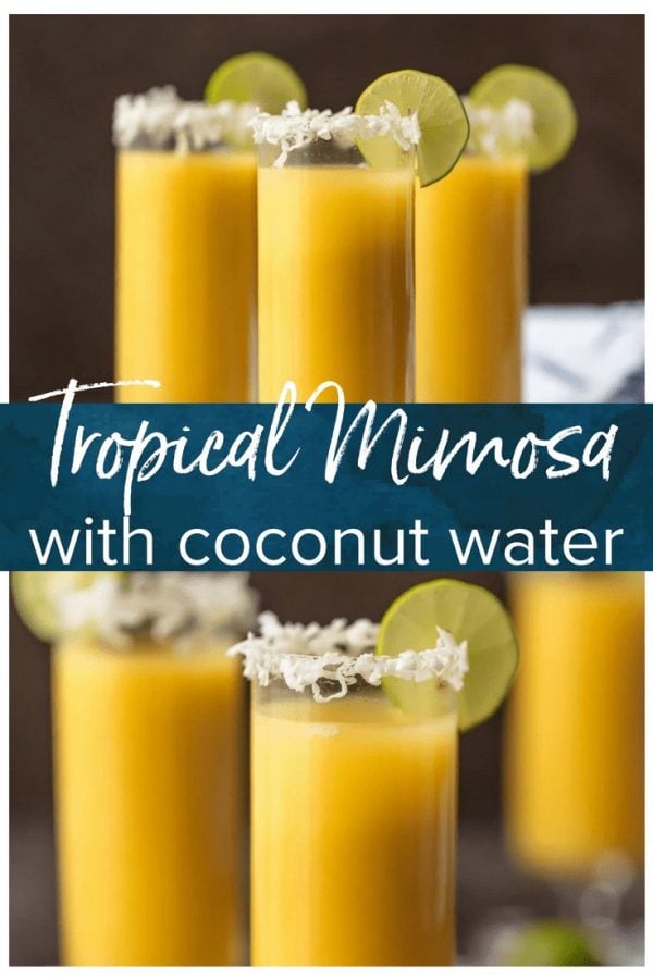 tropical mimosas in champagne flutes pinterest image