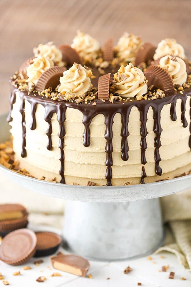 Peanut Butter Chocolate Layer Cake | Life, Love, and Sugar