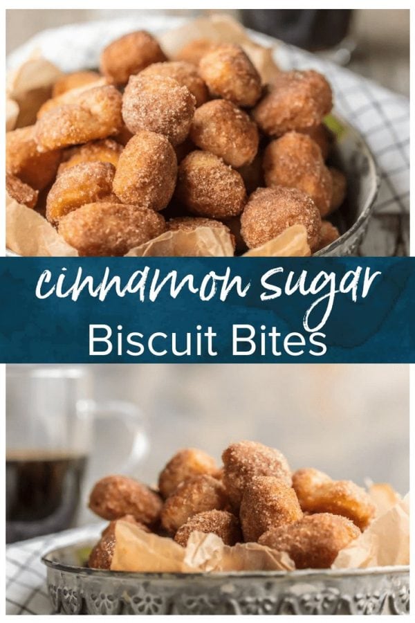 CINNAMON BITES are the perfect breakfast, dessert, or snack for any time of day! These crispy Cinnamon Sugar Biscuit Bites are easy, delicious, and so fun.