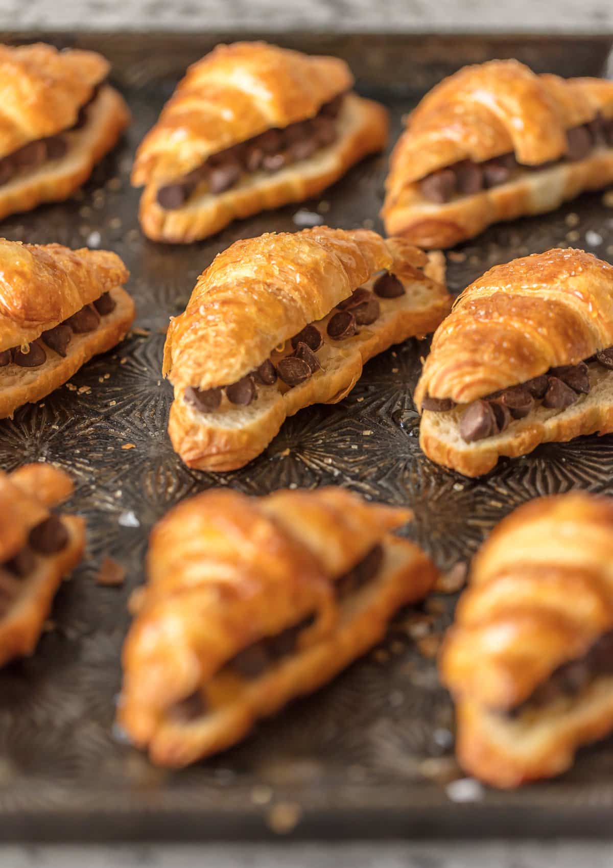 Sheet pan full of mini croissant with chocolate chips inside