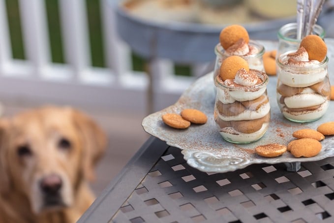 Easy Tiramisu Cups served on a platter