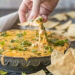 green chile chicken enchilada dip and chip