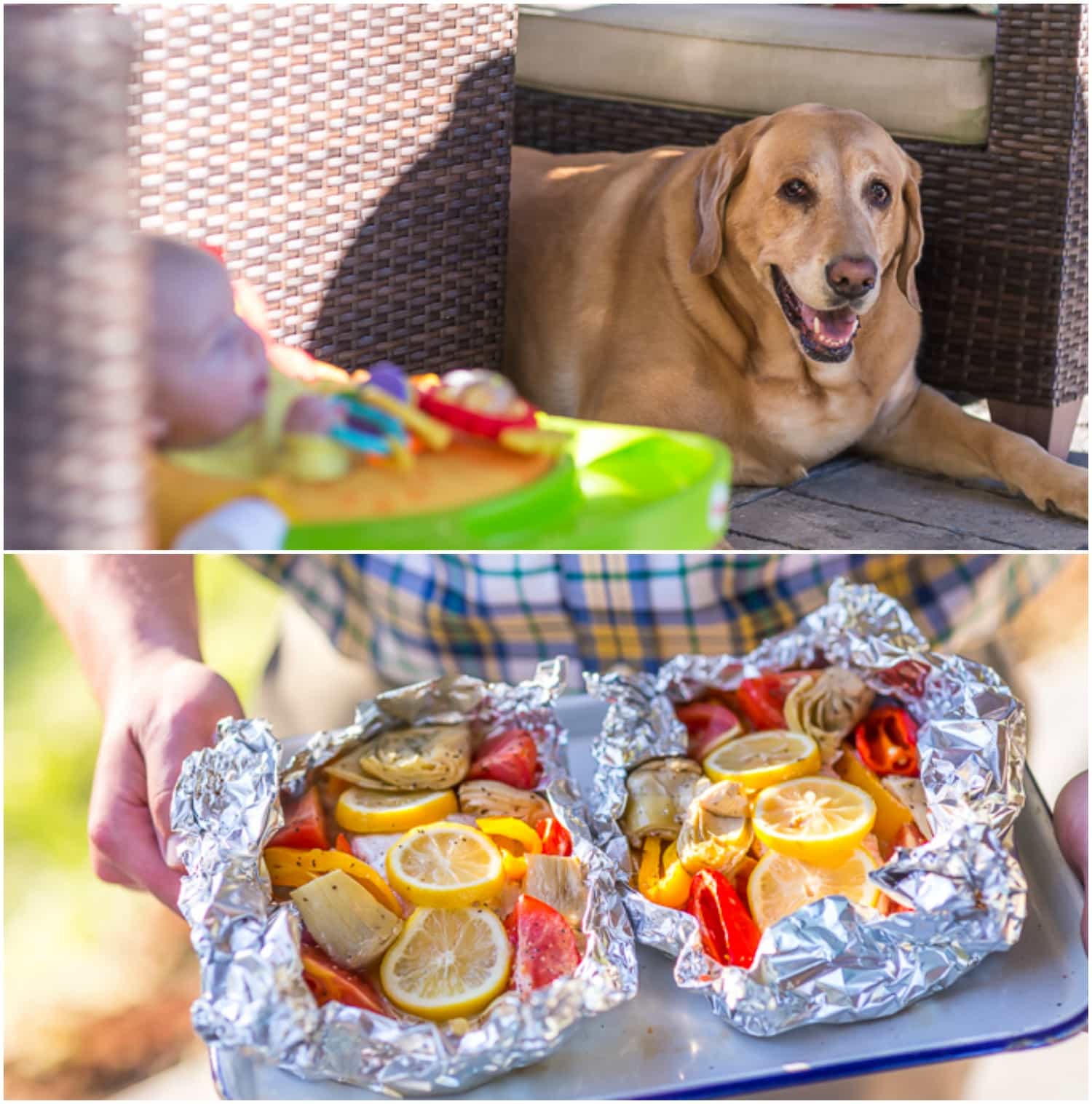 A dog sitting on a table