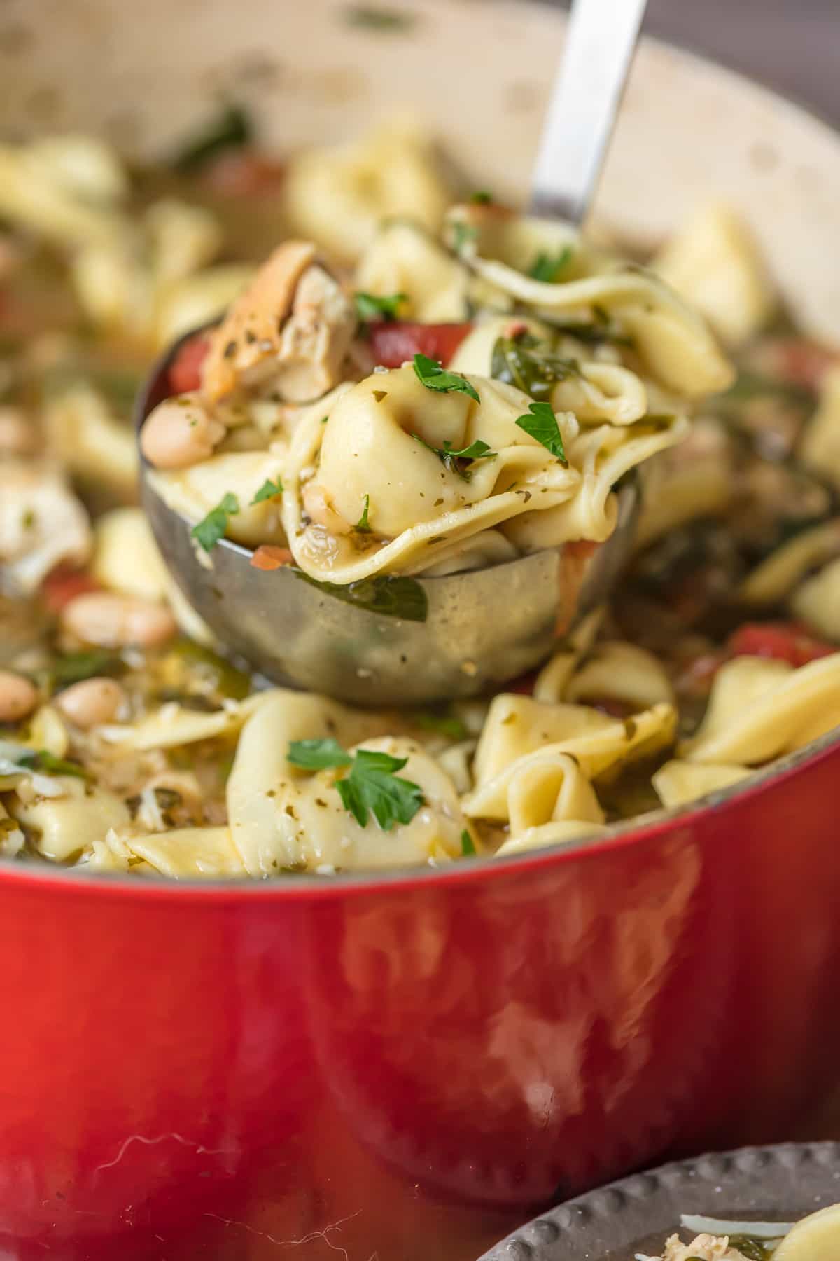 Ladle full of chicken pesto tortellini soup