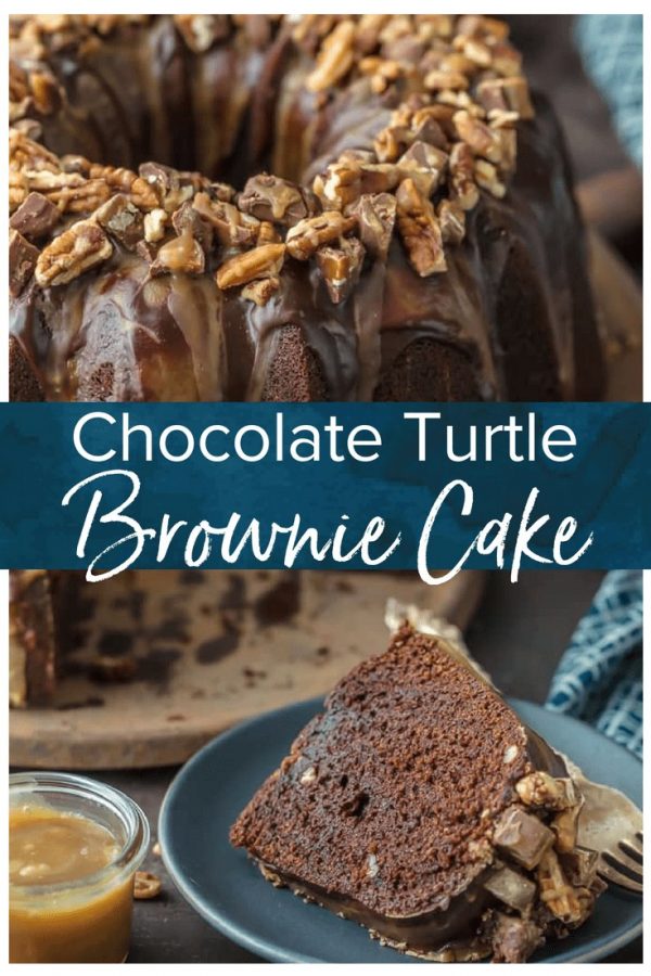 TURTLE CAKE is a chocolate lovers dream. This Turtle Brownie Cake recipe is a dense and moist chocolate brownie cake with walnuts and topped with the most incredible ganache and caramel drizzle. It simply doesn't get better than this Chocolate Turtle Cake! Crave worthy baking!