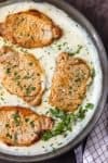 These CREAMY GARLIC PARMESAN PORK CHOPS are easy, made in ONE PAN, and so delicious. The ultimate comfort food!
