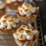 Wow your Thanksgiving guests with MINI SWEET POTATO SOUFFLE CUPS! It doesn't get cuter than wonton cups stuffed with sweet potato souffle and topped with toasted marshmallows.