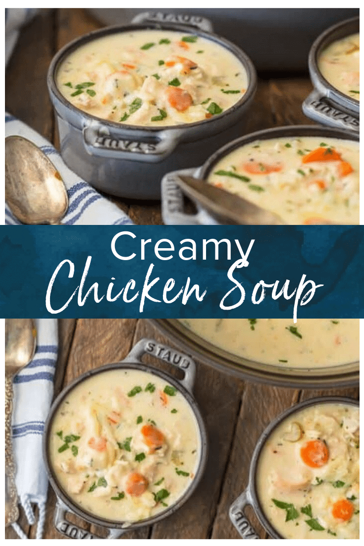 BEST Chicken Soup Recipe - Creamy Chicken Soup - {VIDEO}