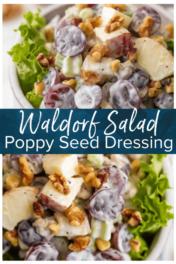 waldorf salad pinterest photo