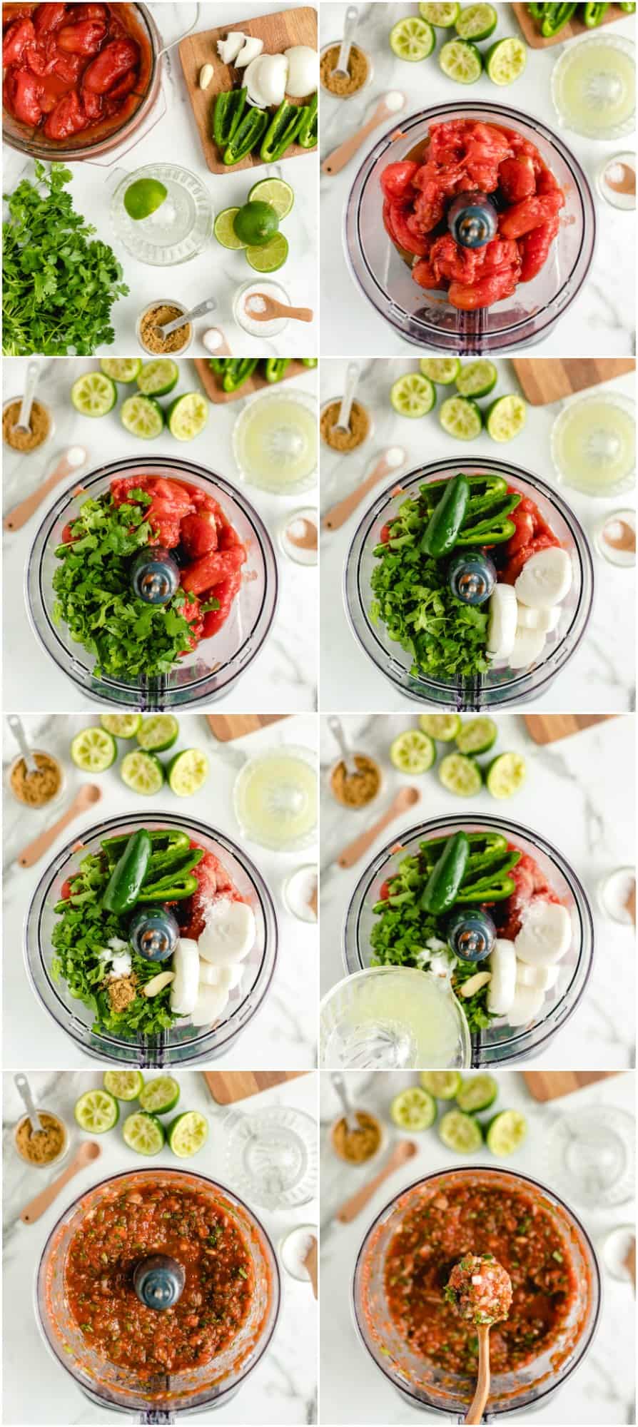 Easy Homemade Salsa Blender Salsa Recipe The Cookie Rookie