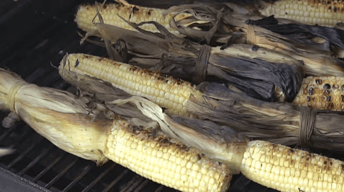husked corn with char marks on a grill.