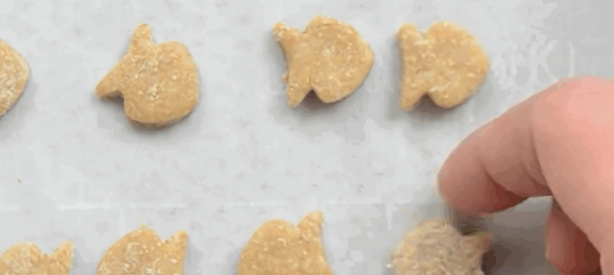 Cat treats on a parchment-lined cookie sheet. 