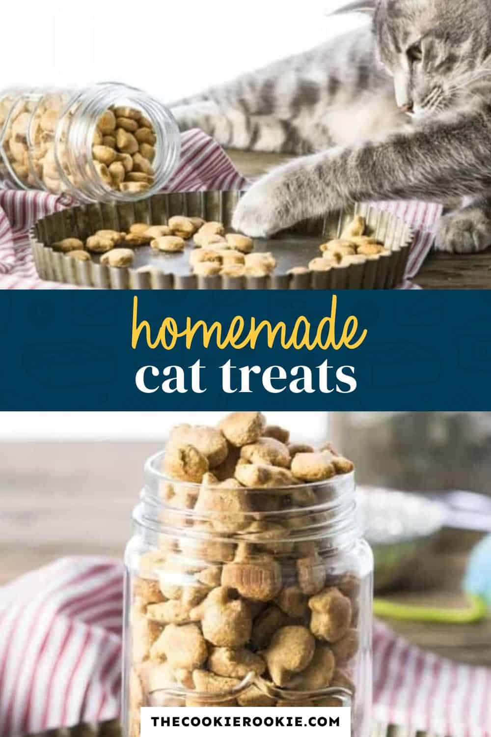 homemade cat treats pin image