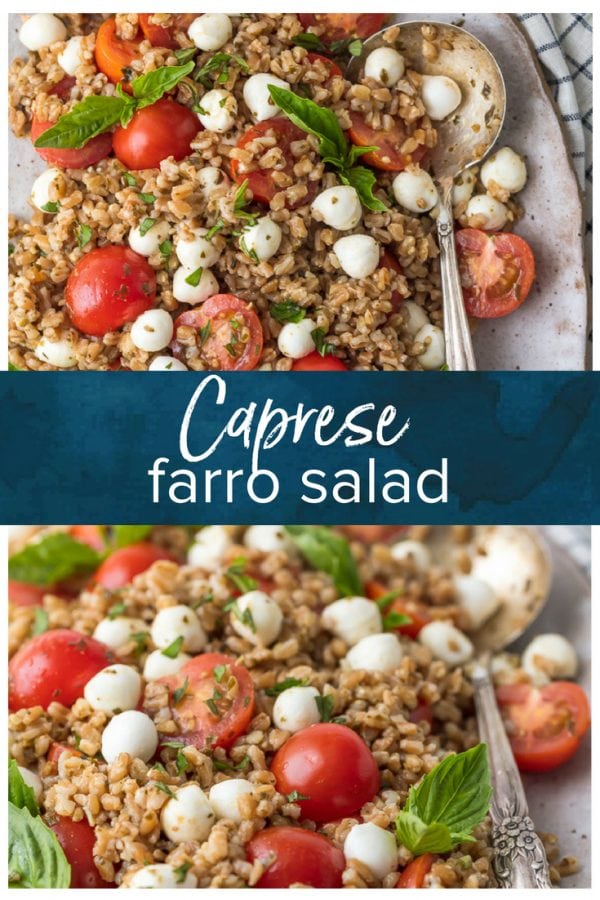 caprese farro salad pinterest collage