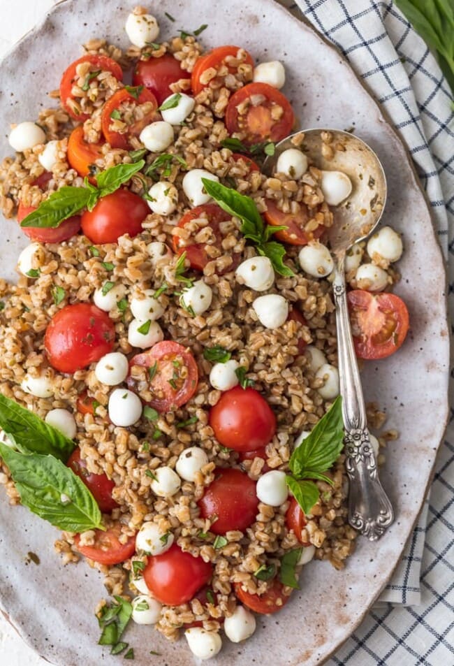 Caprese Farro Salad [VIDEO!] The Cookie Rookie