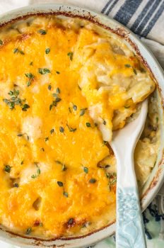 Cheesy Scalloped Potatoes are the perfect side dish for holidays. This easy cheesy scalloped potatoes recipe is creamy, delicious, and easy to make ahead of time!