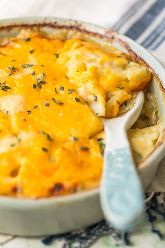 Scalloped potatoes with a serving spoon 