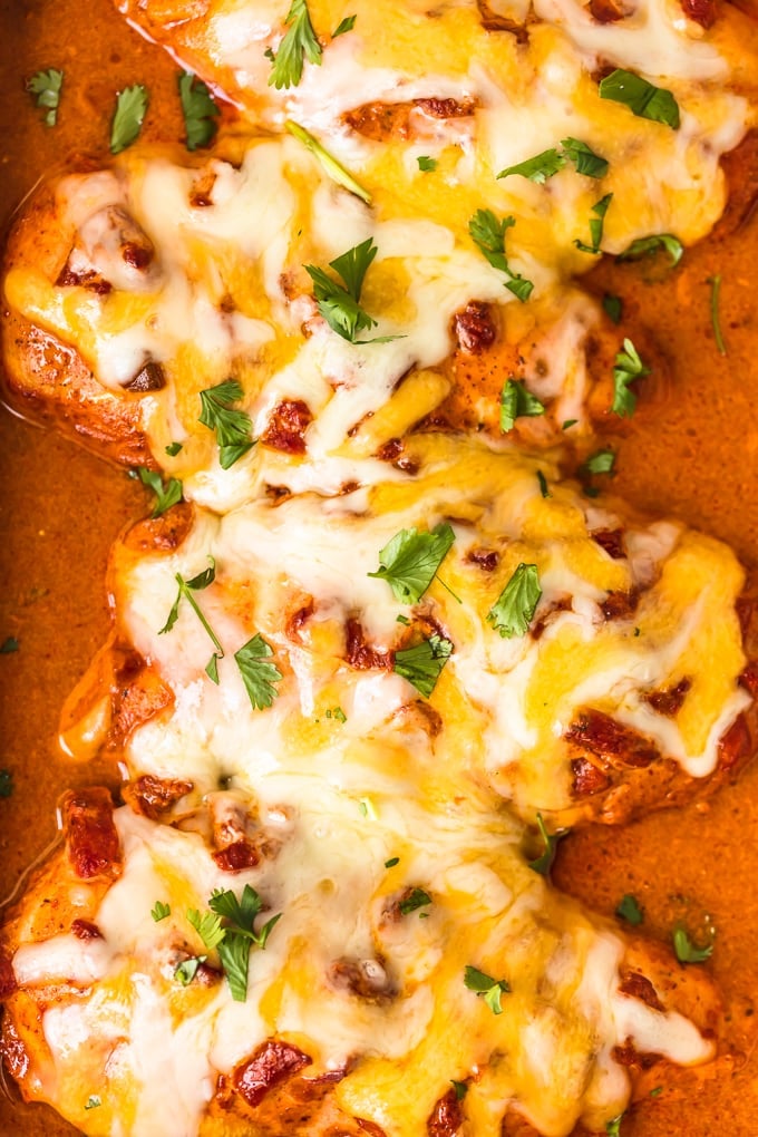 Chicken breast cooked in enchilada sauce topped with cheese and cilantro