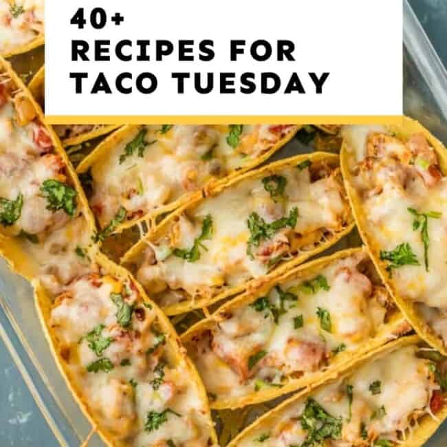taco tuesday recipes guide